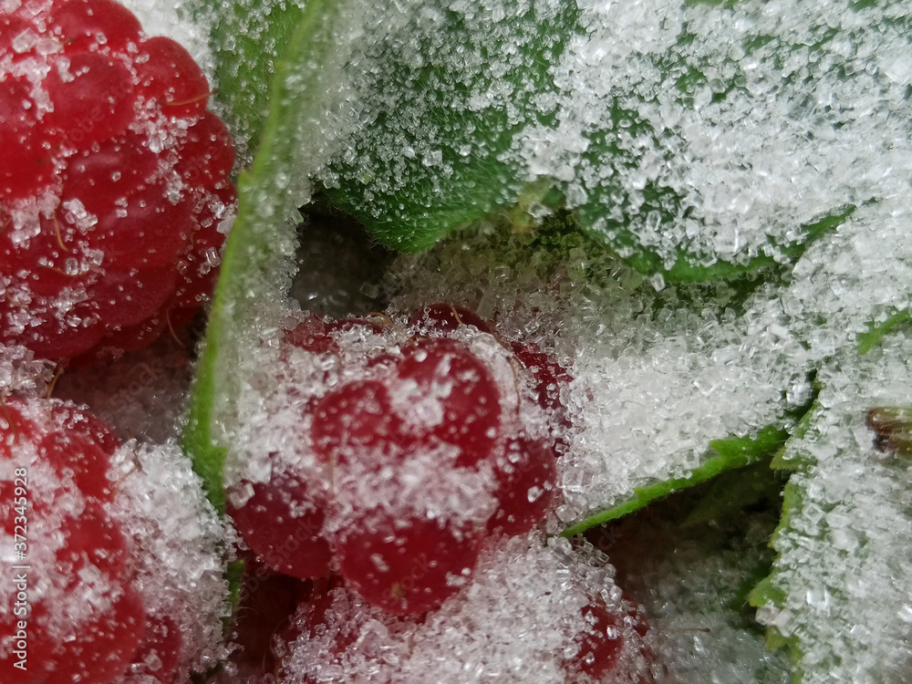 photo of raspberries and mint leaves with white sugar. ingredients for mojito. Top view