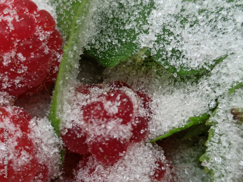 photo of raspberries and mint leaves with white sugar. ingredients for mojito. Top view