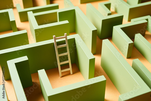 Ladder amidst green maze walls photo