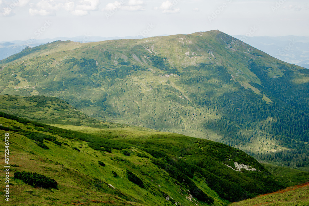 Carpathians mountain range at summer morning. Beauty of wild virgin Ukrainian nature. Peacefulness. Carpathians mountain range at summer morning. Beauty of wild virgin Ukrainian nature. Peacefulness.