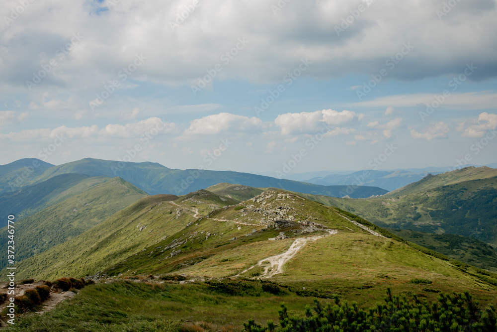Carpathians mountain range at summer morning. Beauty of wild virgin Ukrainian nature. Peacefulness.