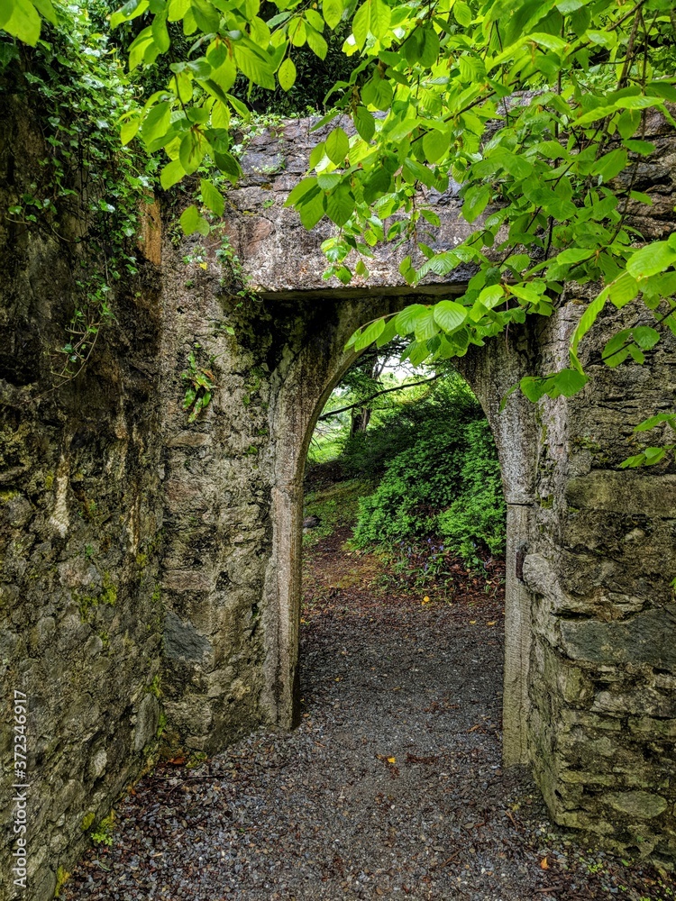Obraz premium Arch in Ireland