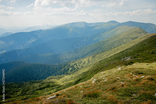 Carpathians mountain range at summer morning. Beauty of wild virgin Ukrainian nature. Peacefulness.