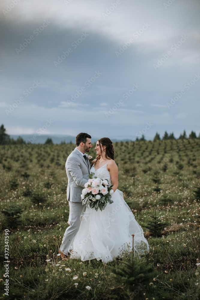 Romantic Bride and Groom in Field Romantic Bride and Groom in Field