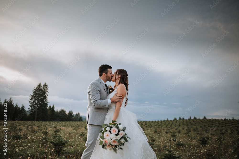 Bride and Groom Kissing in Beautiful Landscape Bride and Groom Kissing in Beautiful Landscape