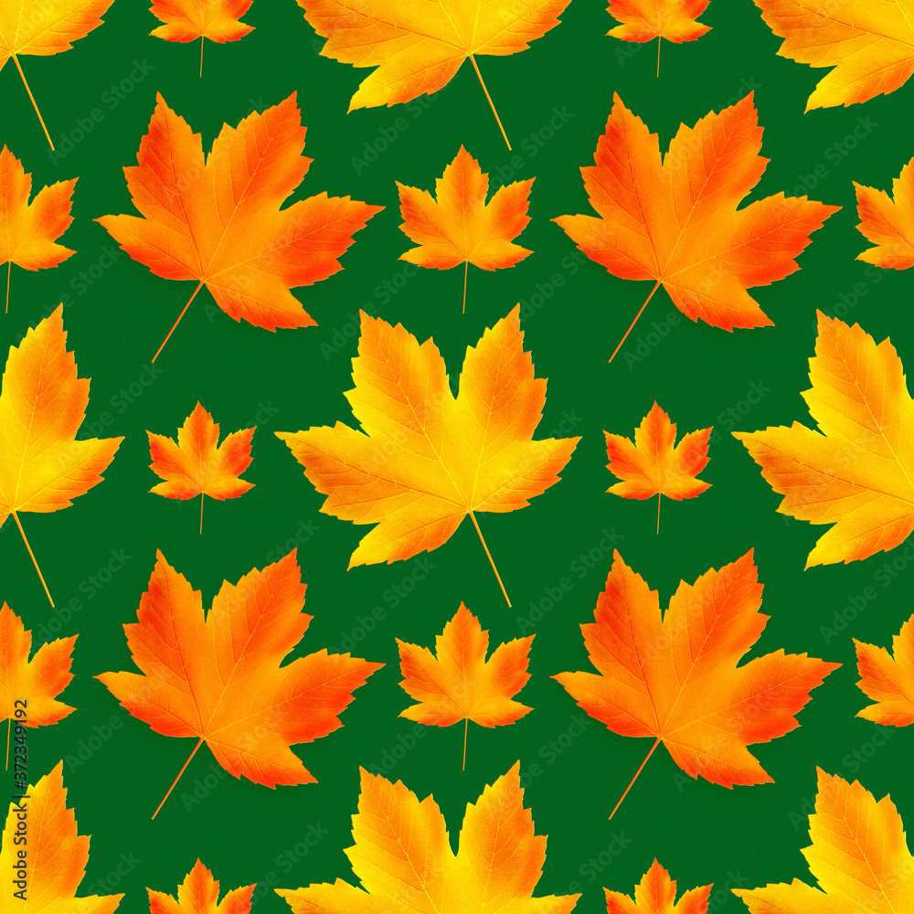 Seamless autumn pattern. Fallen leaves on green background; isolated Seamless autumn pattern. Fallen leaves on green background; isolated