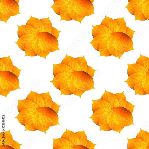 Seamless autumn pattern. Fallen leaves on white background, isolated