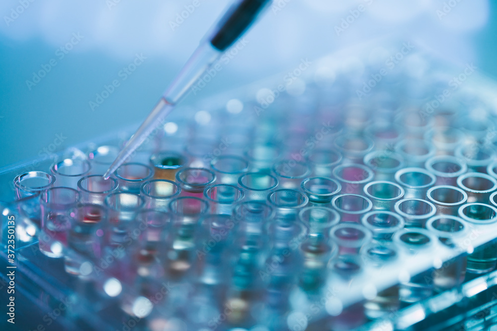 © AD Photography/Stocksy - Working in laboratory