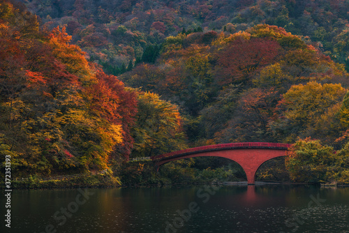 Autumn Colors On Lake Usui photo