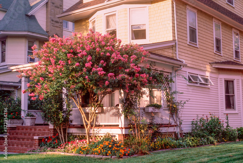 House with Pink Flowers