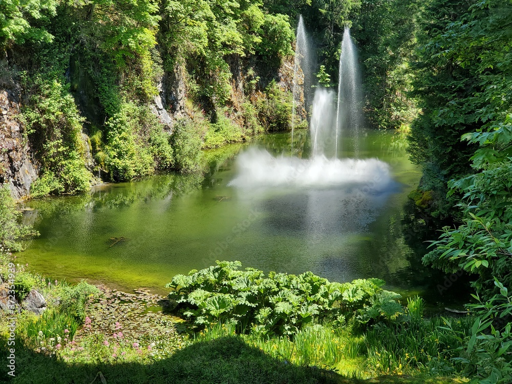 Fountain in the Pond 