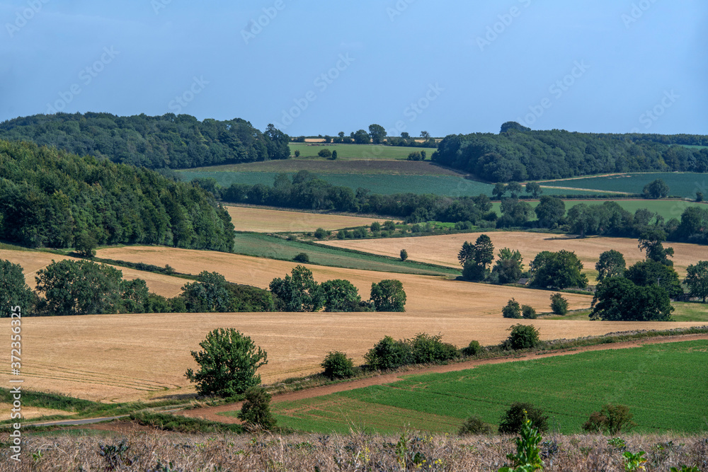 HDR image of Cotswolds agricultural landscape on a summers day, Gloucestershire, England, UK