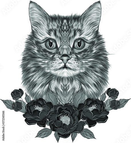 cat portrait flowers peonies composition background black and white sketch graphic vector illustration