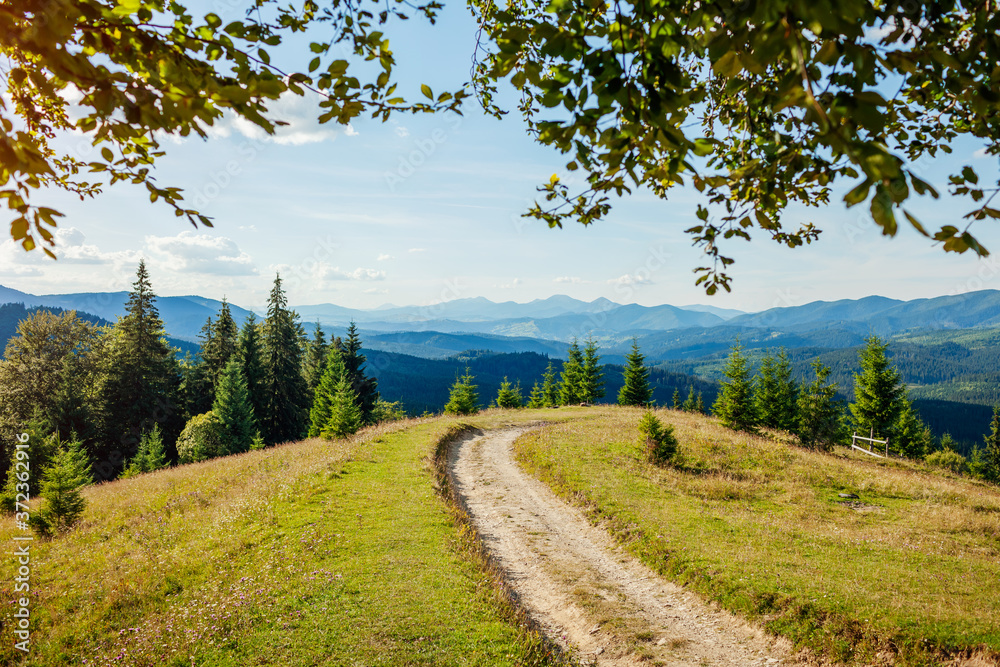 Beautiful view of Carpathian mountains. Summer ukrainian landscape. Blue sky above wild nature with forest path Beautiful view of Carpathian mountains. Summer ukrainian landscape. Blue sky above wild nature with forest path