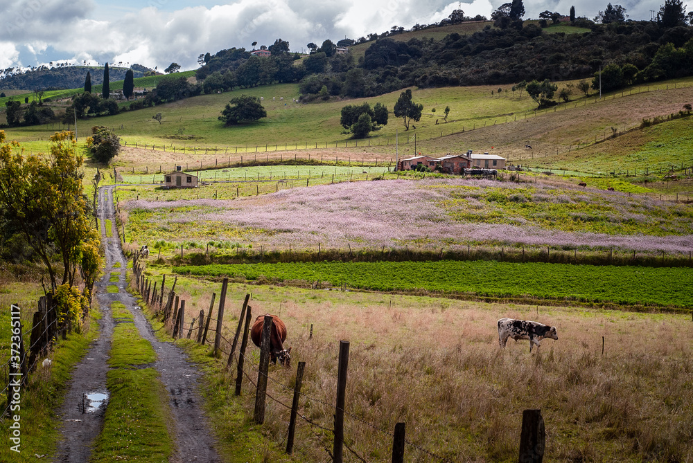 Paisaje de las montañas Cundi Boyacenses, Boyacá y Cundinamarca, campo ...
