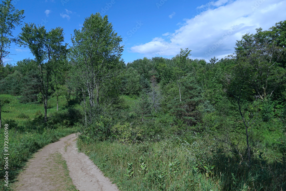 Hiking trail in a nature preserve with alternating forests and meadows.
