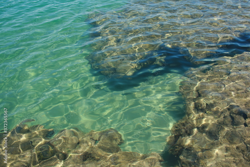 coral reef and sea coral reef and sea