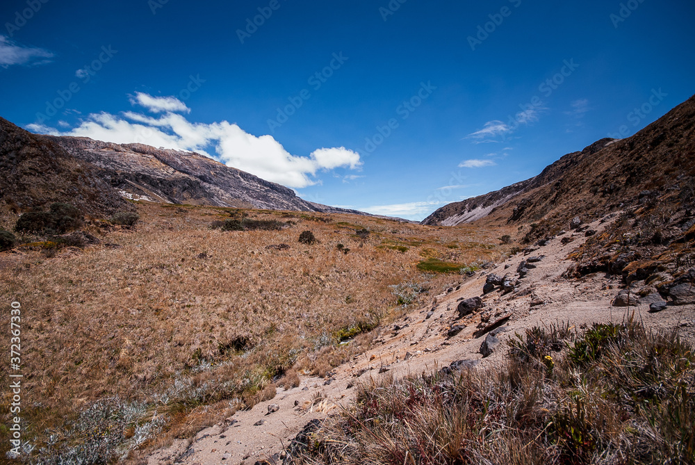 Paisajes del parque Nacional los Nevados PNN, nevado del Ruiz, el Cisne, montalas de Colombia, Antioquia, Quindio, Caldas y Risaralda