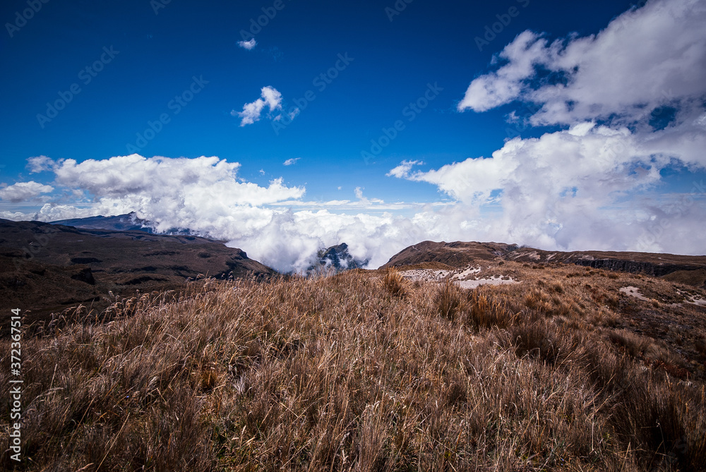 Paisajes del parque Nacional los Nevados PNN, nevado del Ruiz, el Cisne, montalas de Colombia, Antioquia, Quindio, Caldas y Risaralda