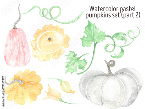Fototapeta Naklejka Na Ścianę i Meble -  Watercolor pumpkins pastel, autumn, leaves and flowers. Harvest Illustration. Helloween.