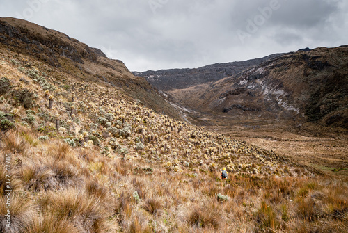 Paisajes del parque Nacional los Nevados PNN, nevado del Ruiz, el Cisne, montalas de Colombia, Antioquia, Quindio, Caldas y Risaralda photo