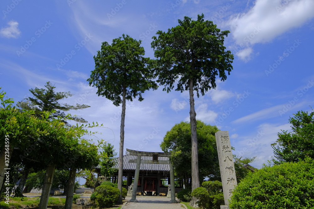Fototapeta premium 快慶の傑作 阿弥陀三尊像のある浄土寺