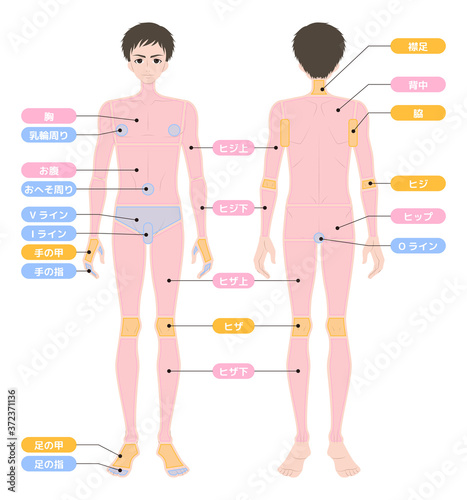 脱毛箇所　全身　男性