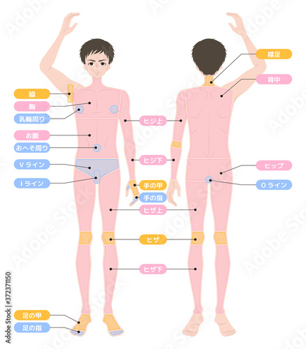 脱毛箇所　全身　男性