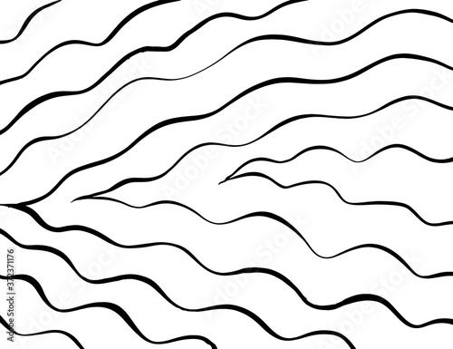 White and black vector. Grunge background. Abstract brush pattern.