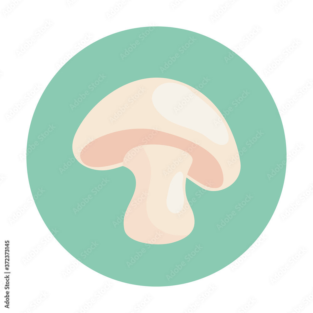 fresh mushroom vegetable on round frame, in white background vector illustration design fresh mushroom vegetable on round frame, in white background vector illustration design