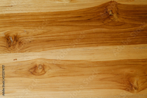 Wood background texture  abstract  nature background 