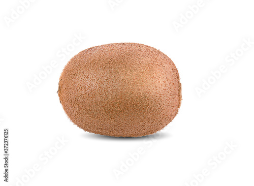 Kiwi fruit isolated on white background