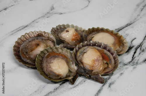 Culinary. Seafood delicacy. Closeup view of raw scallops in the shell. 