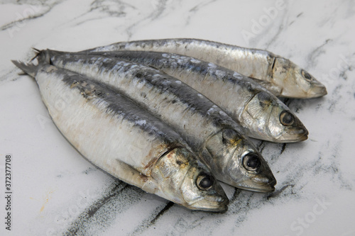 Gastronomy and nutrition. Fish. Closeup view of raw sardines on the table. 