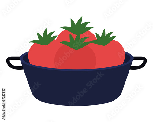 fresh tomatoes vegetables in pot, on white background vector illustration design