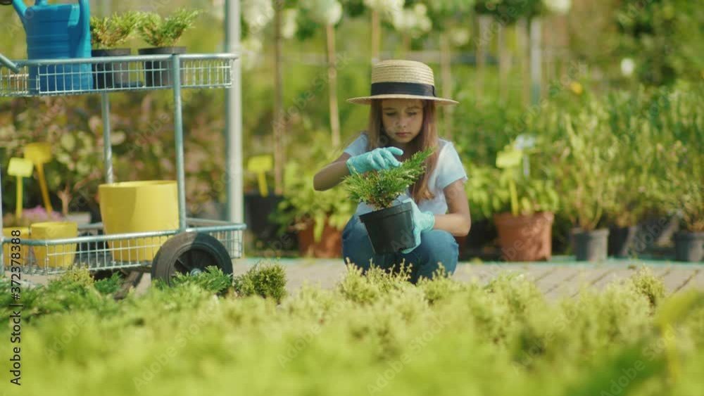 Young girl child plant flowers in a pot on leaves inside greenhouse exotic occupation family concentrated growing green flower helping slow motion Young girl child plant flowers in a pot on leaves inside greenhouse exotic occupation family concentrated growing green flower helping slow motion