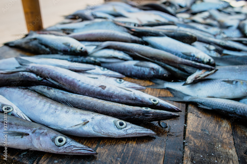 Peces del Pacificó, venta de pescado en Tumaco_Nariño_Colombia Peces del Pacificó, venta de pescado en Tumaco_Nariño_Colombia