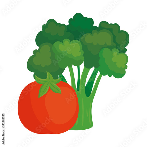 fresh vegetables, tomato with broccoli in white background vector illustration design