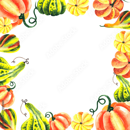 Fototapeta Naklejka Na Ścianę i Meble -  Watercolor hand painted autumn harvest frame with bright pumpkins