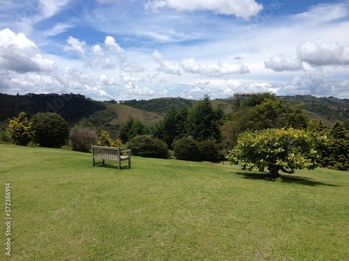 bench in the mountains Campos do Jordao Brasil
