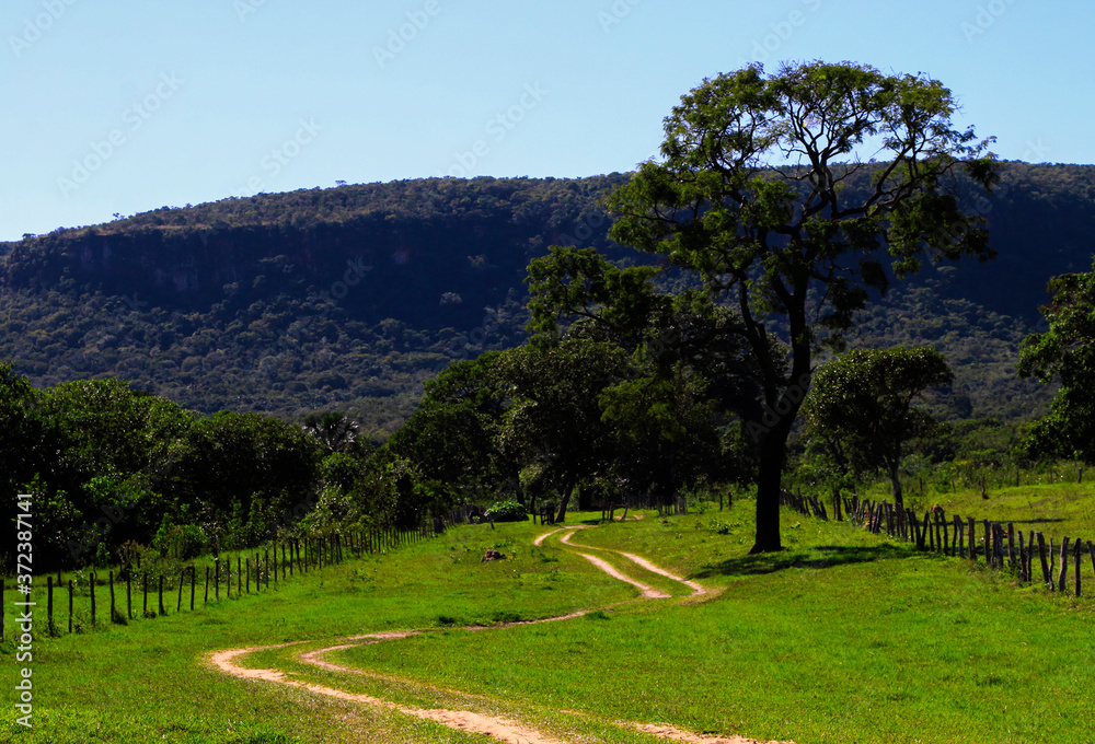 Naklejka premium landscape with trees and blue sky