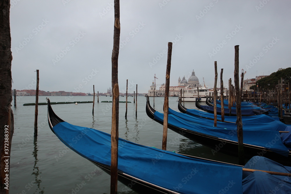 Gondolas, early morning, Venice, Italy.