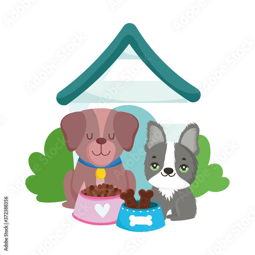 pet shop, cute little dogs with food and house animal domestic cartoon