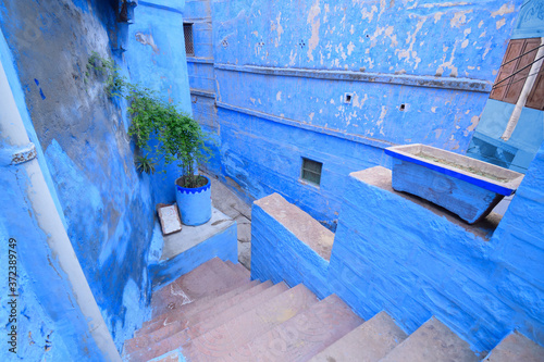 Old blue coloured narrow street in the town of Jodhpur, Rajasthan © saurav005