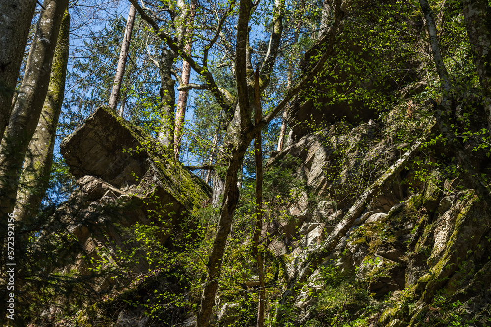 high rocks in a forest while hiking high rocks in a forest while hiking