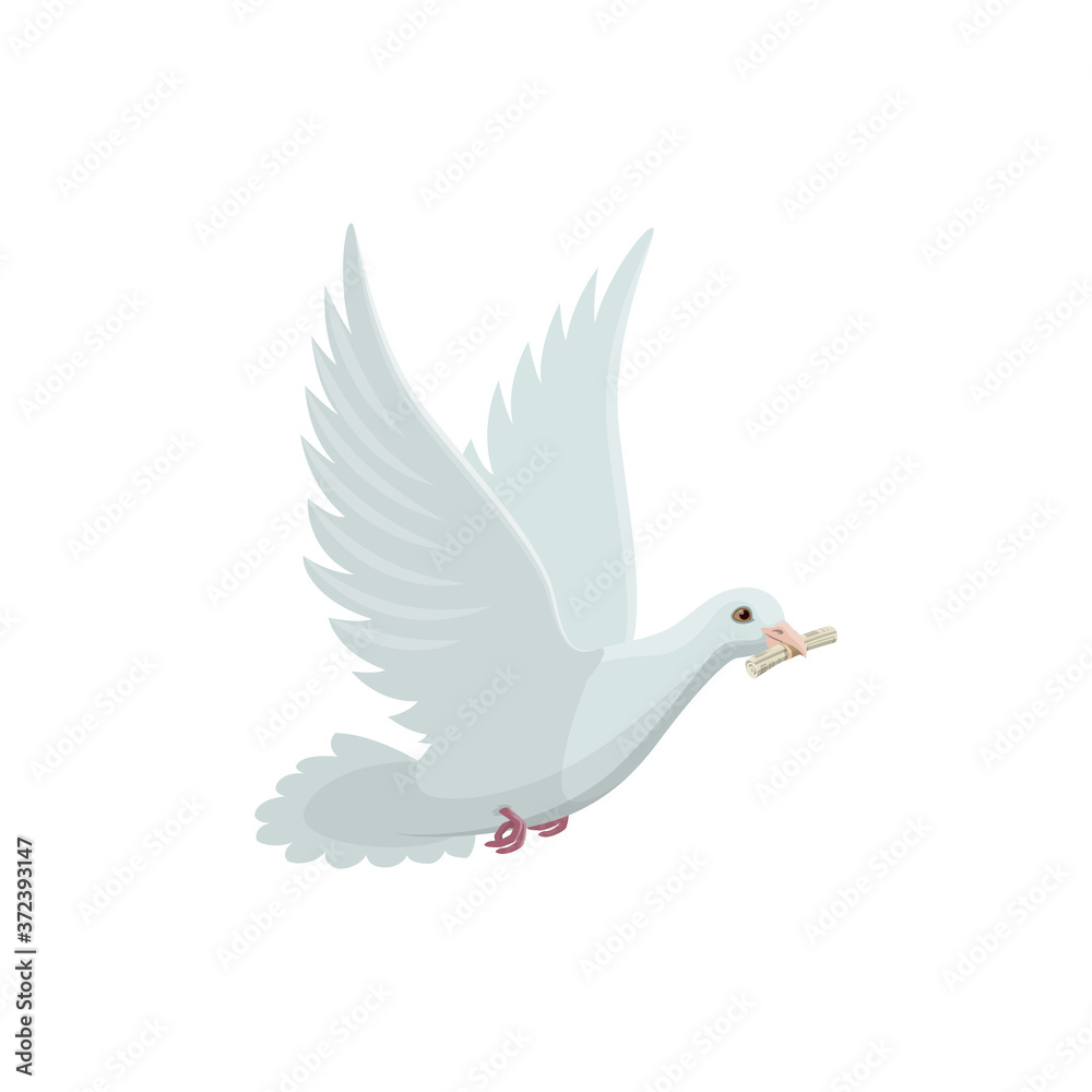 Dove with roll of newspaper in beak vector isolated icon. White pigeon, bird delivering mail Dove with roll of newspaper in beak vector isolated icon. White pigeon, bird delivering mail
