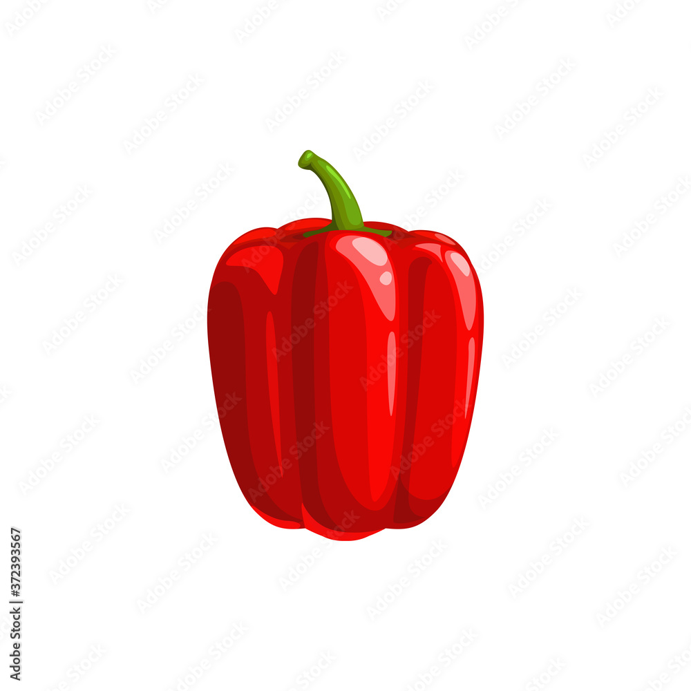 Sweet bulgarian pepper isolated veggie realistic design. Vector edible bellpepper, raw organic natural capsicum bell pepper. Ripe vegetable, vegetarian food, red tasty bellpepper 3D icon Sweet bulgarian pepper isolated veggie realistic design. Vector edible bellpepper, raw organic natural capsicum bell pepper. Ripe vegetable, vegetarian food, red tasty bellpepper 3D icon