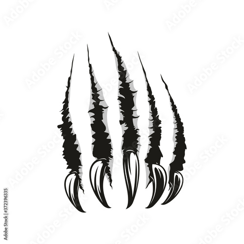 Claws scratches, torn paper trails. Vector wild animal sharp claw slash marks
