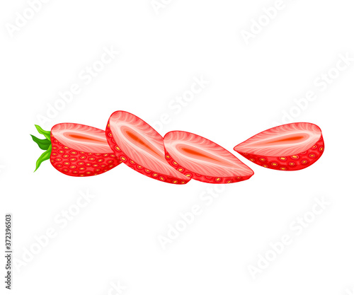 Garden Strawberry with Mature Red Fruit Section Vector Illustration