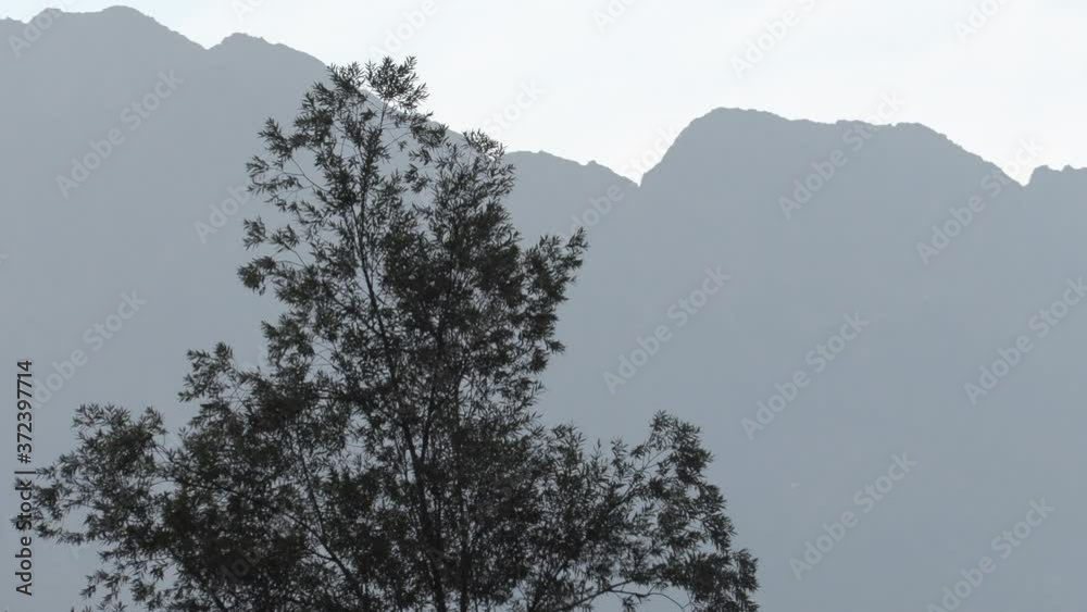 Nice framing of a tree and in the background the majestic mountains of the French Alps. 4K Nice framing of a tree and in the background the majestic mountains of the French Alps. 4K